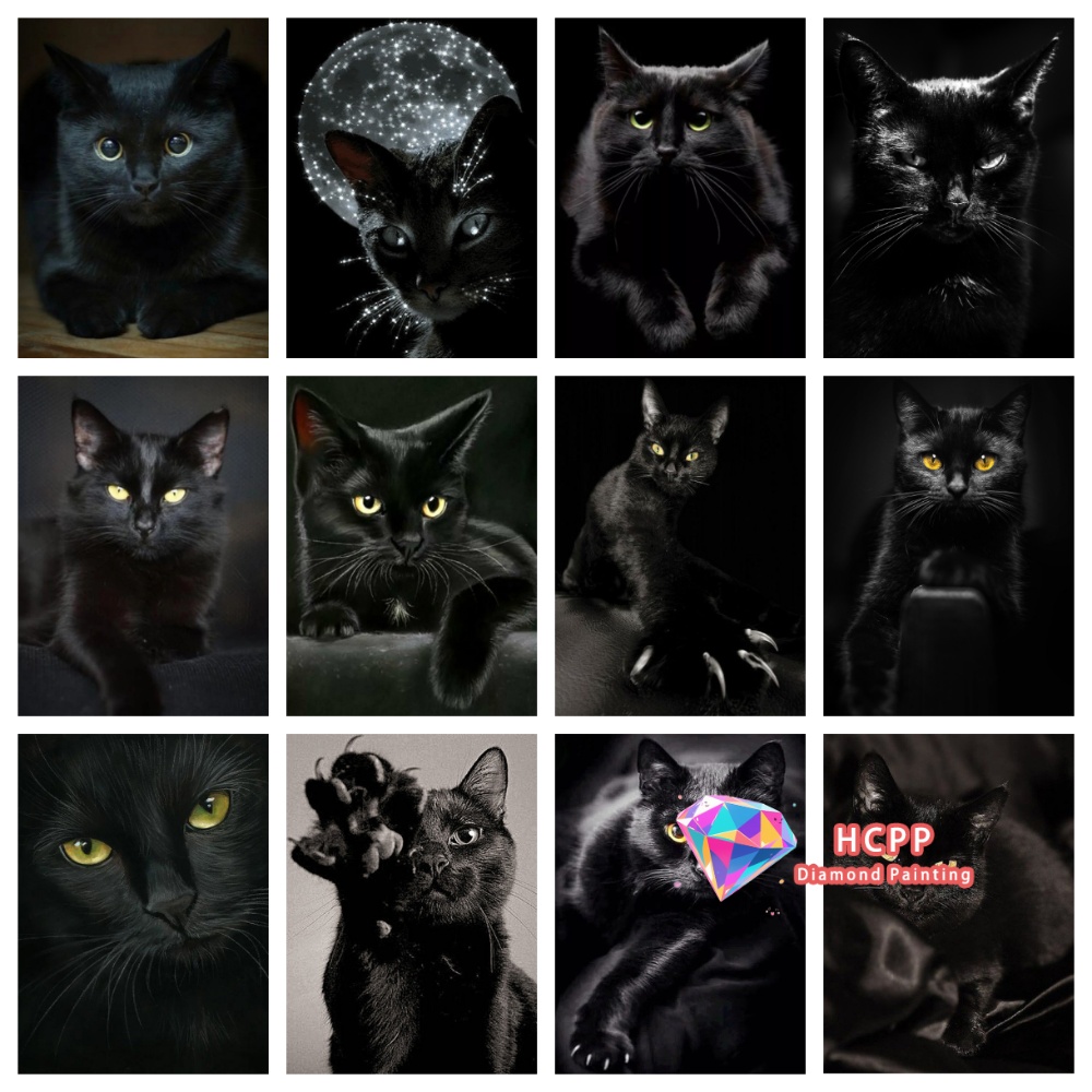 Craft Art Set - unframe Black Cat Animal Diamond Painting
