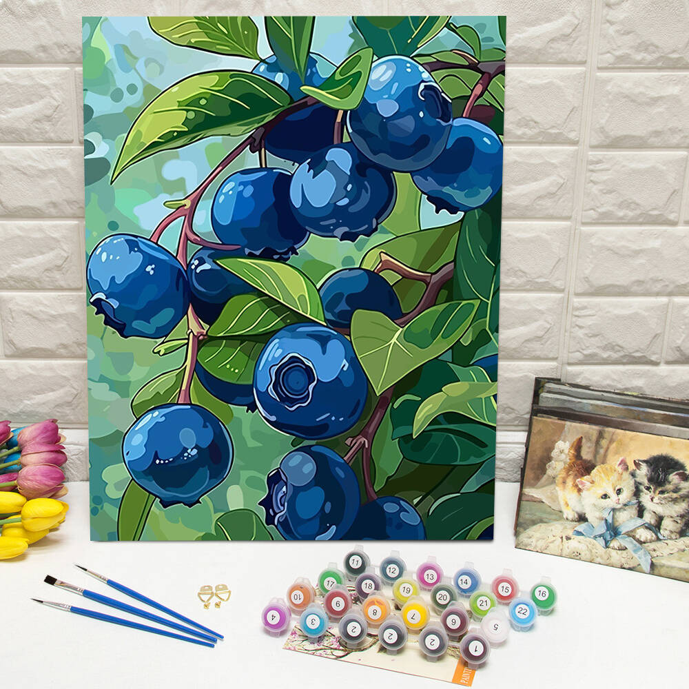 DIY Drawing By Numbers Blueber - Art Craft Gifts For Adults avis et prix