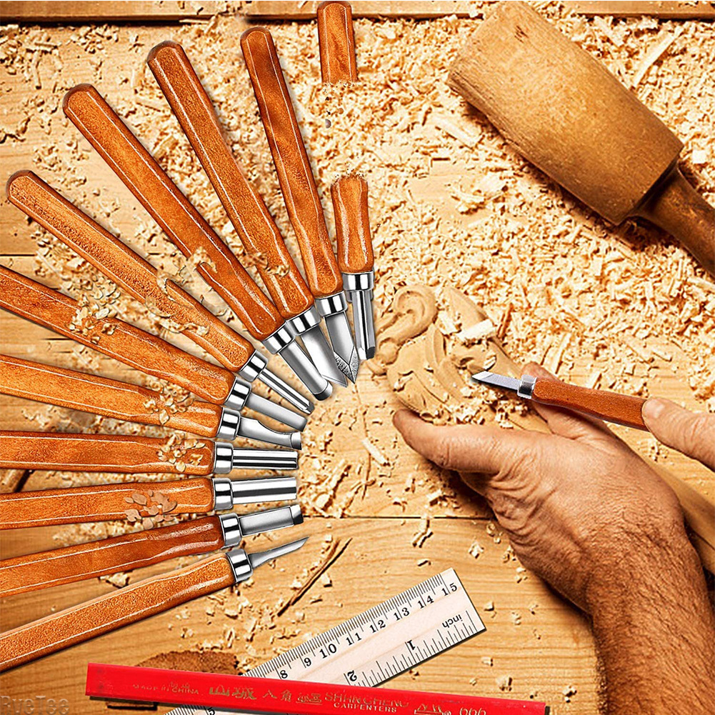 12Pcs SK2 Woodworking Carving  - Craft Art Set avis et prix